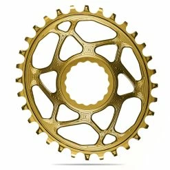 Plateau Ovale Aluminium Absolute Black Direct Mount 148 Boost Race-Face 1 X 10-12 V 32 T